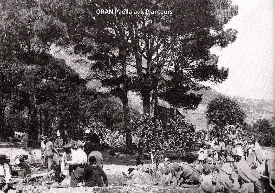 Oran- SDV- 7211.jpg